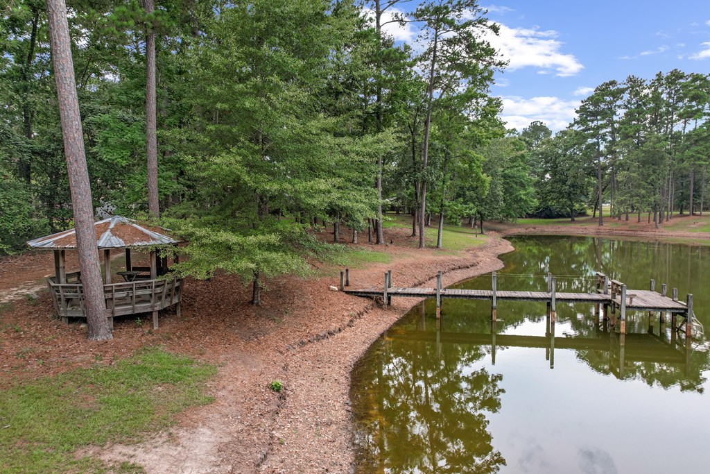 6850 North Co Road Columbia, AL 36319 - Photo 74 of 81