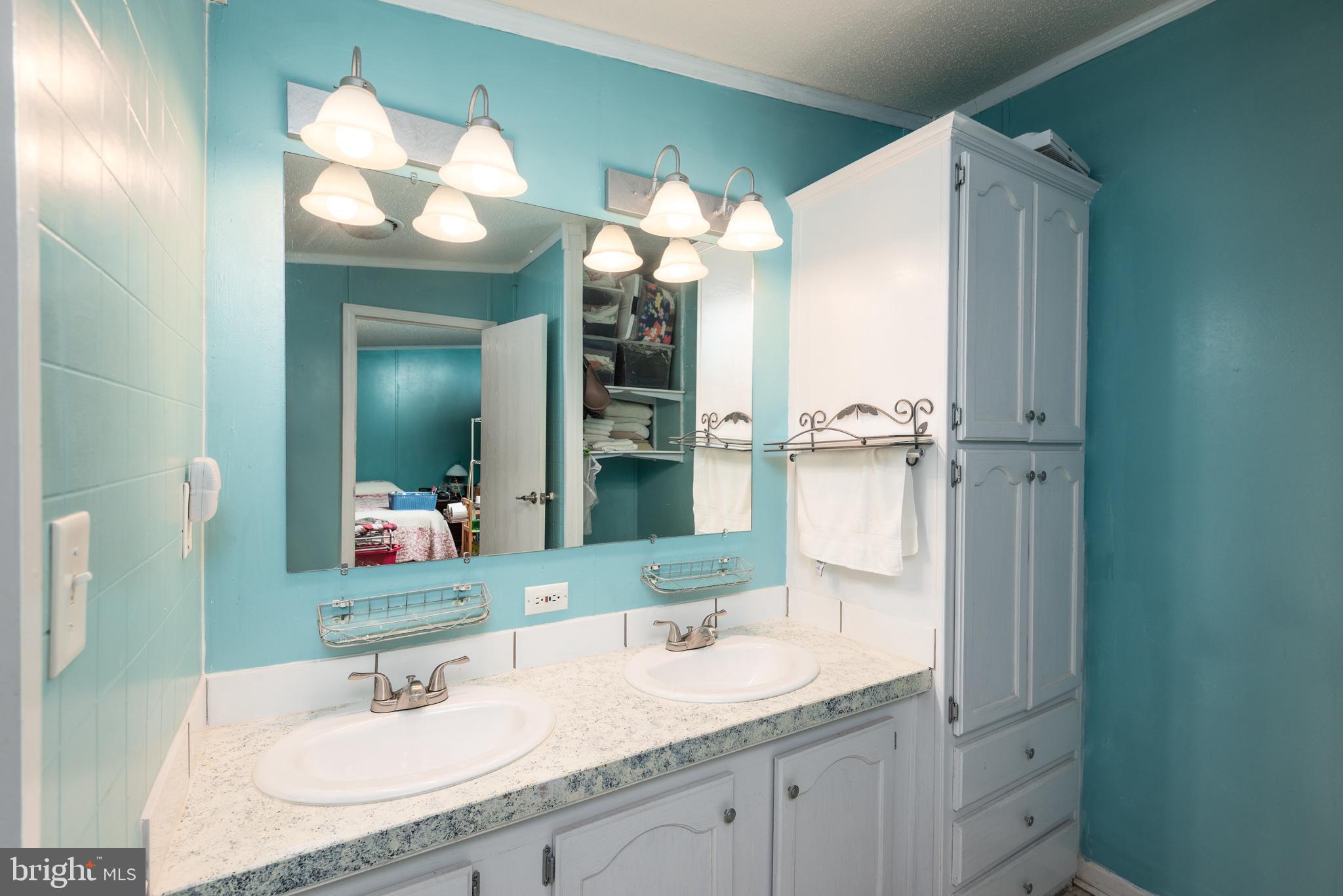 146 Bear Pond Road Marydel, MD 21649 - Photo 18 of 29 a bathroom with a sink vanity and a mirror