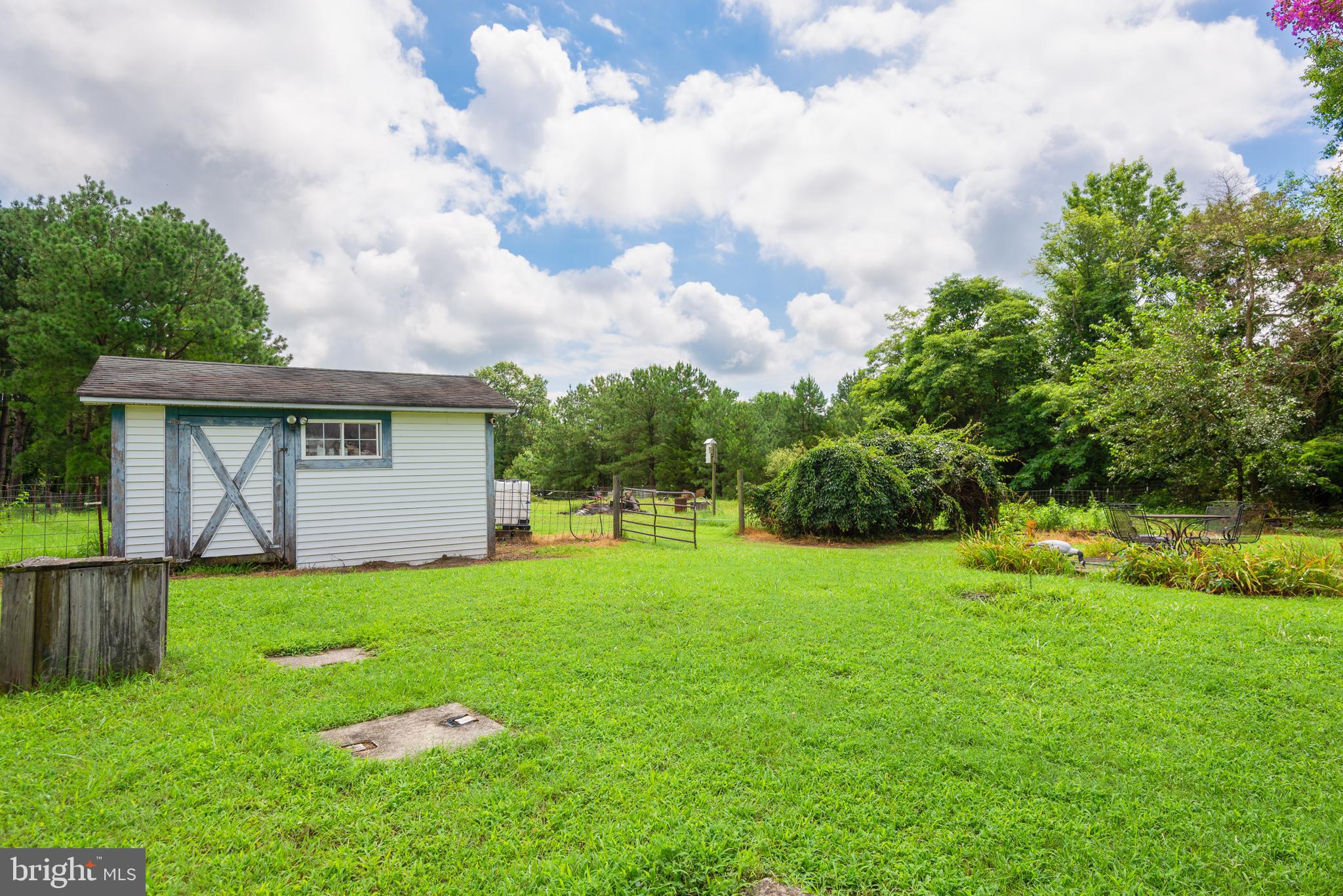 146 Bear Pond Road Marydel, MD 21649 - Photo 28 of 29 a view of a backyard with plants and a garden