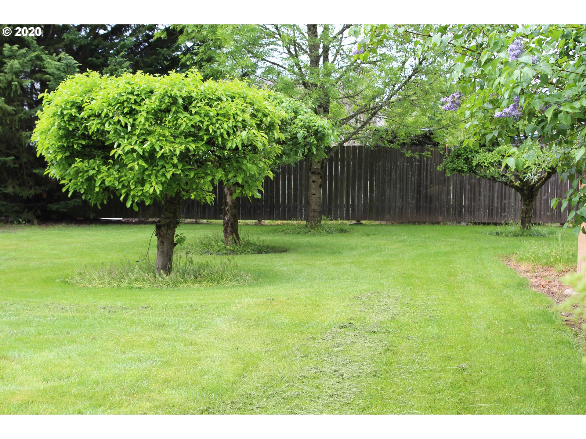 5924 Mike Street Southwest Albany, OR 97321 - Photo 19 of 30 Gallery Image 19