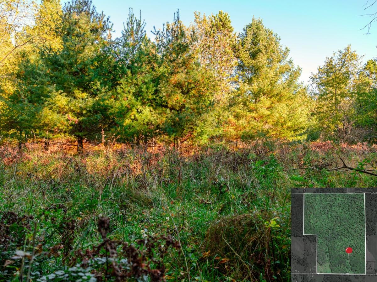 3440 Vorce Road Harbor Springs, MI 49740 - Photo 20 of 30 18