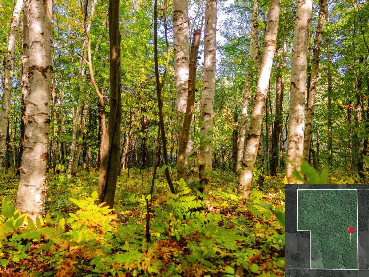 3440 Vorce Road Harbor Springs, MI 49740 - Photo 21 of 30 19