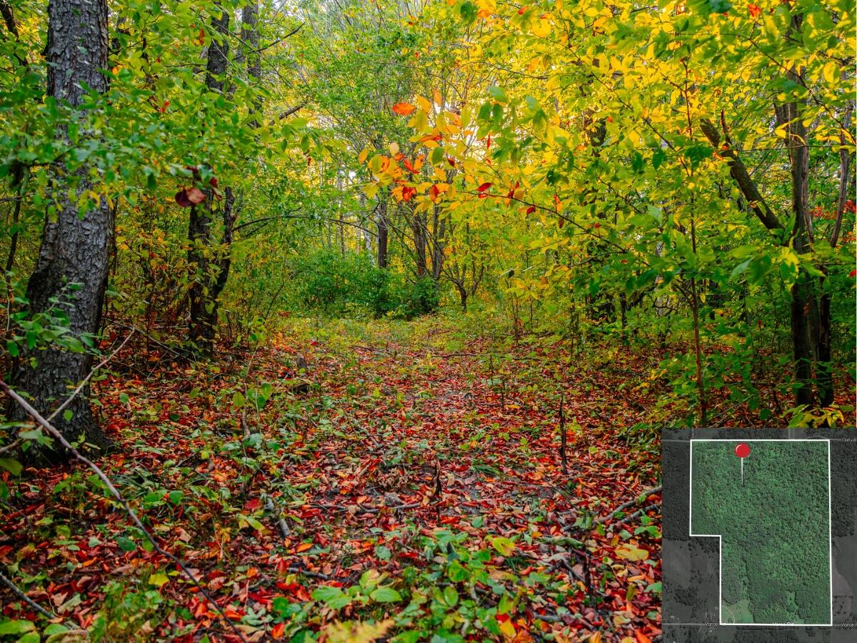 3440 Vorce Road Harbor Springs, MI 49740 - Photo 5 of 30 3