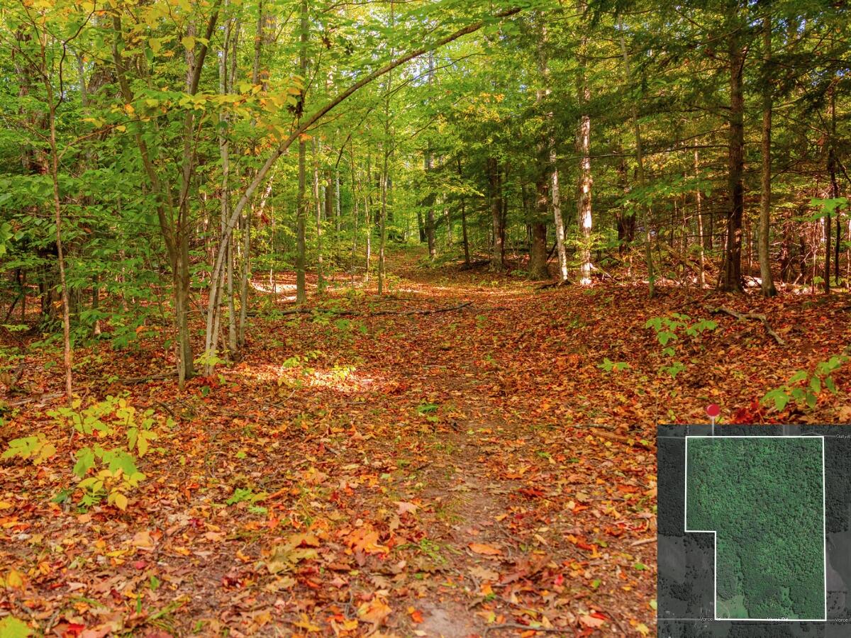 3440 Vorce Road Harbor Springs, MI 49740 - Photo 8 of 30 6
