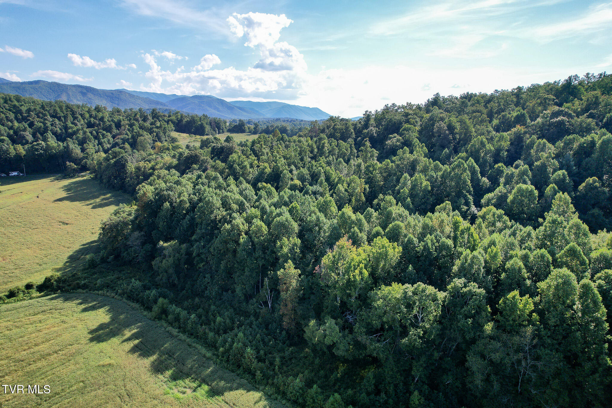 386 Fox Road Chuckey, TN 37641 - Photo 83 of 93 DJI_0111