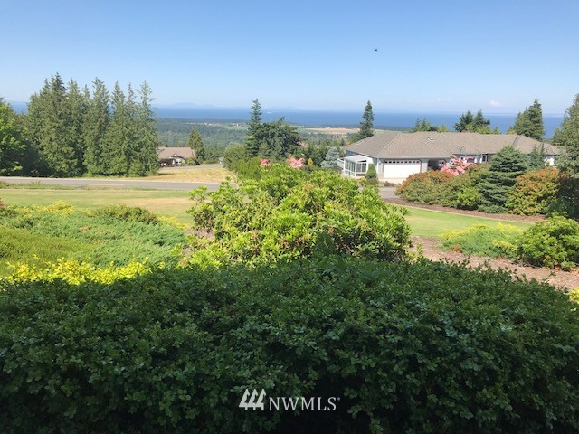 131 Ravens Ridge Road Sequim, WA 98382 - Photo 3 of 25 Gallery Image 3