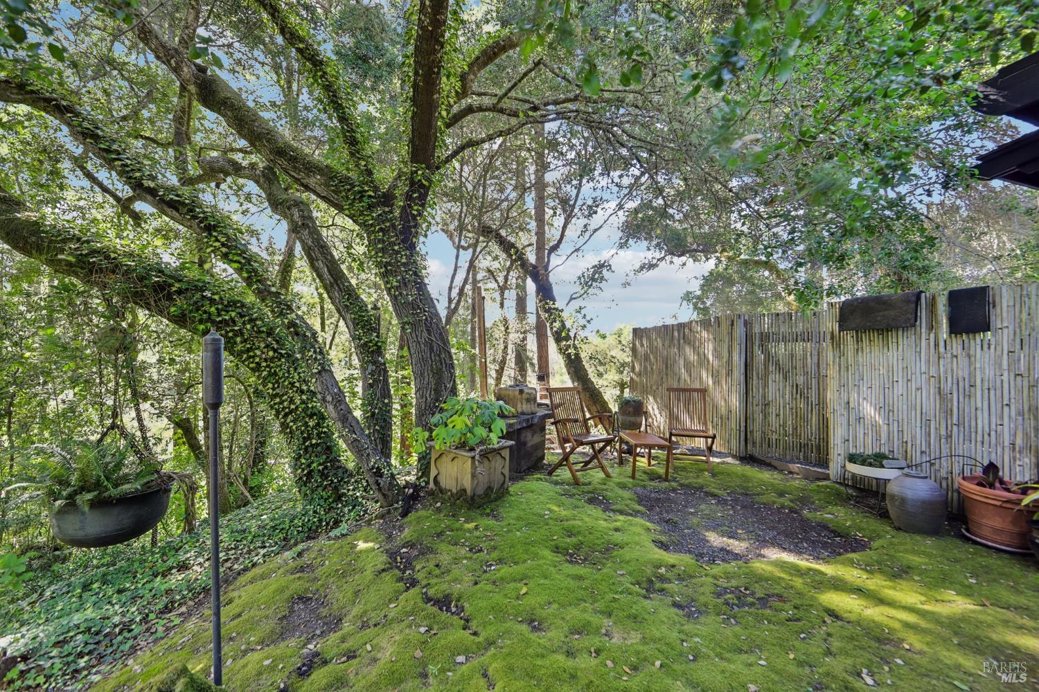 2515 Stepps Road Sebastopol, CA 95472 - Photo 42 of 93