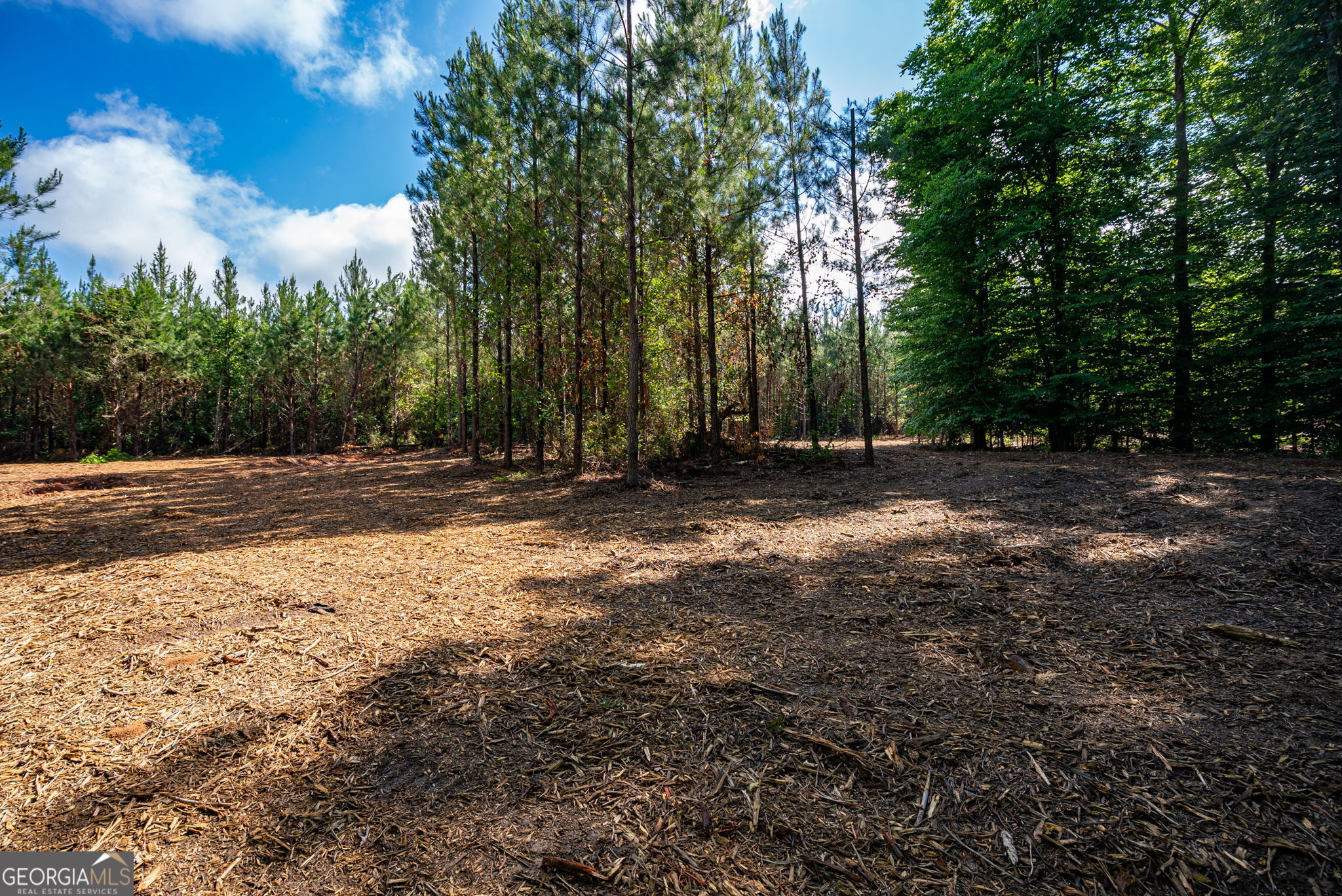 2 Brewer's Bridge Road Elberton, GA 30635 - Photo 12 of 24