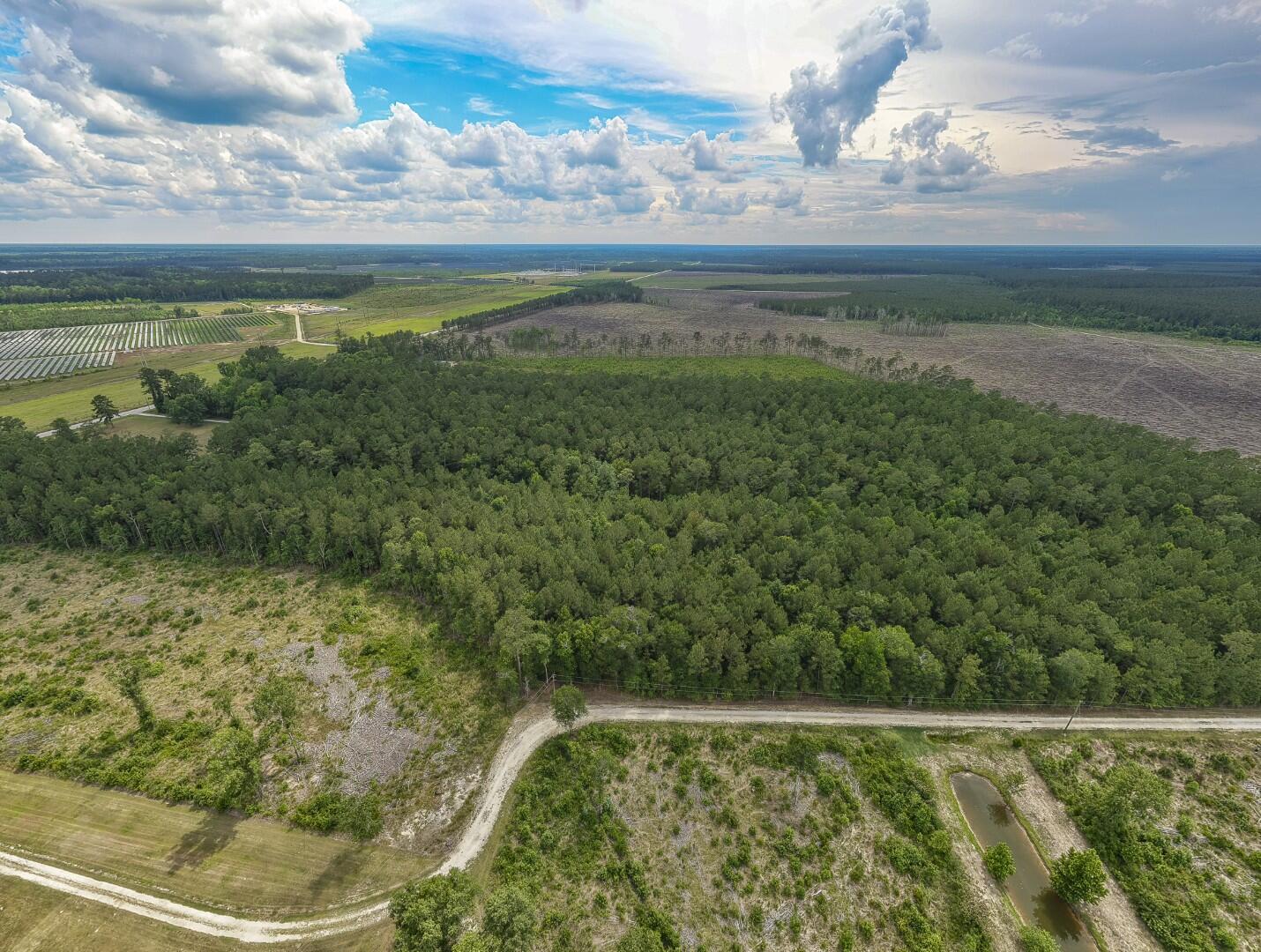 6222 Saints Delight Road, Unit LOT 8A Georgetown, SC 29440 - Photo 27 of 27