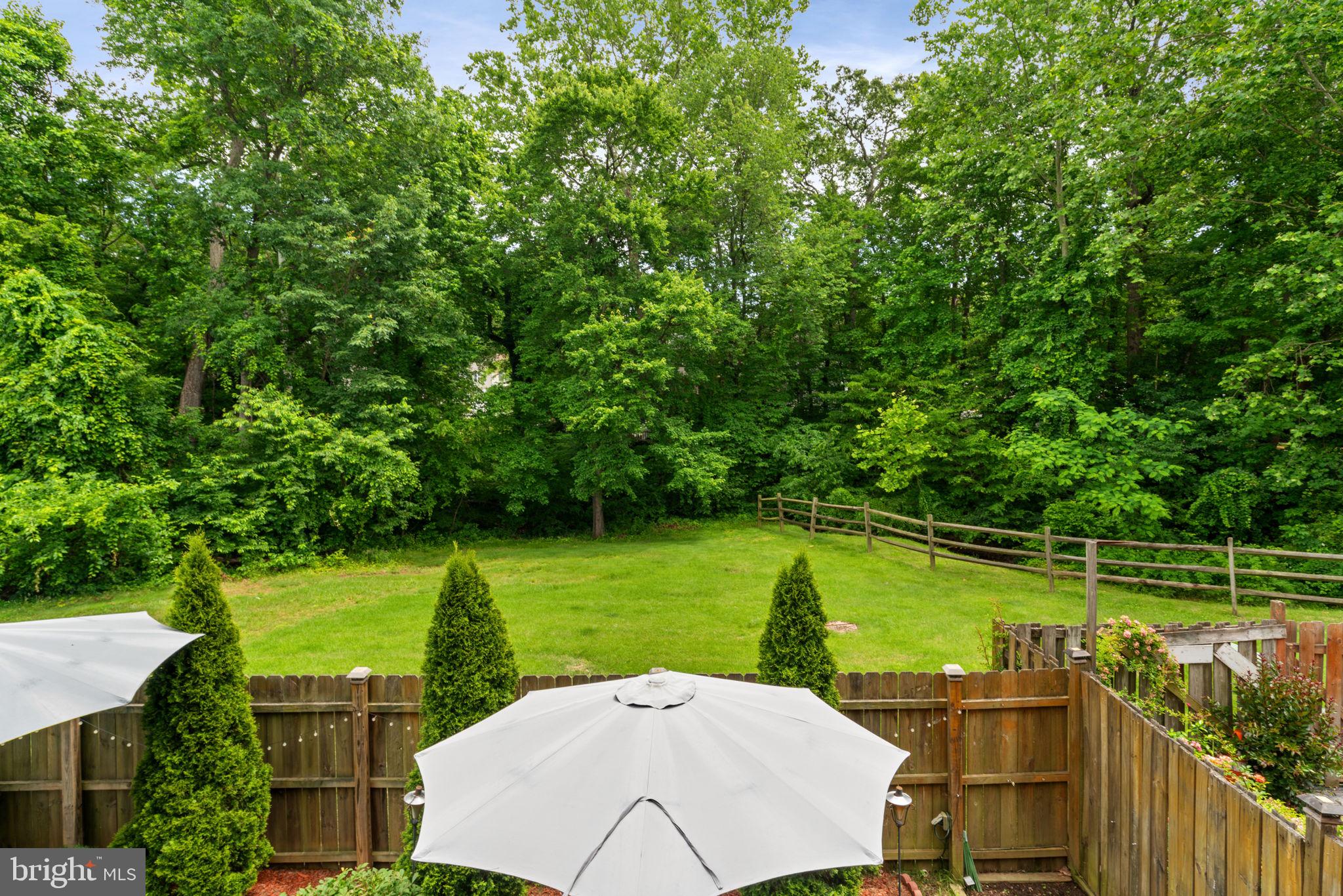 3653 Crows Nest Point Triangle, VA 22172 - Photo 46 of 54 Green space and trees beyond fence