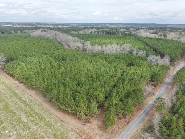 $202,250 | Graves Road, Carson, MS 39427