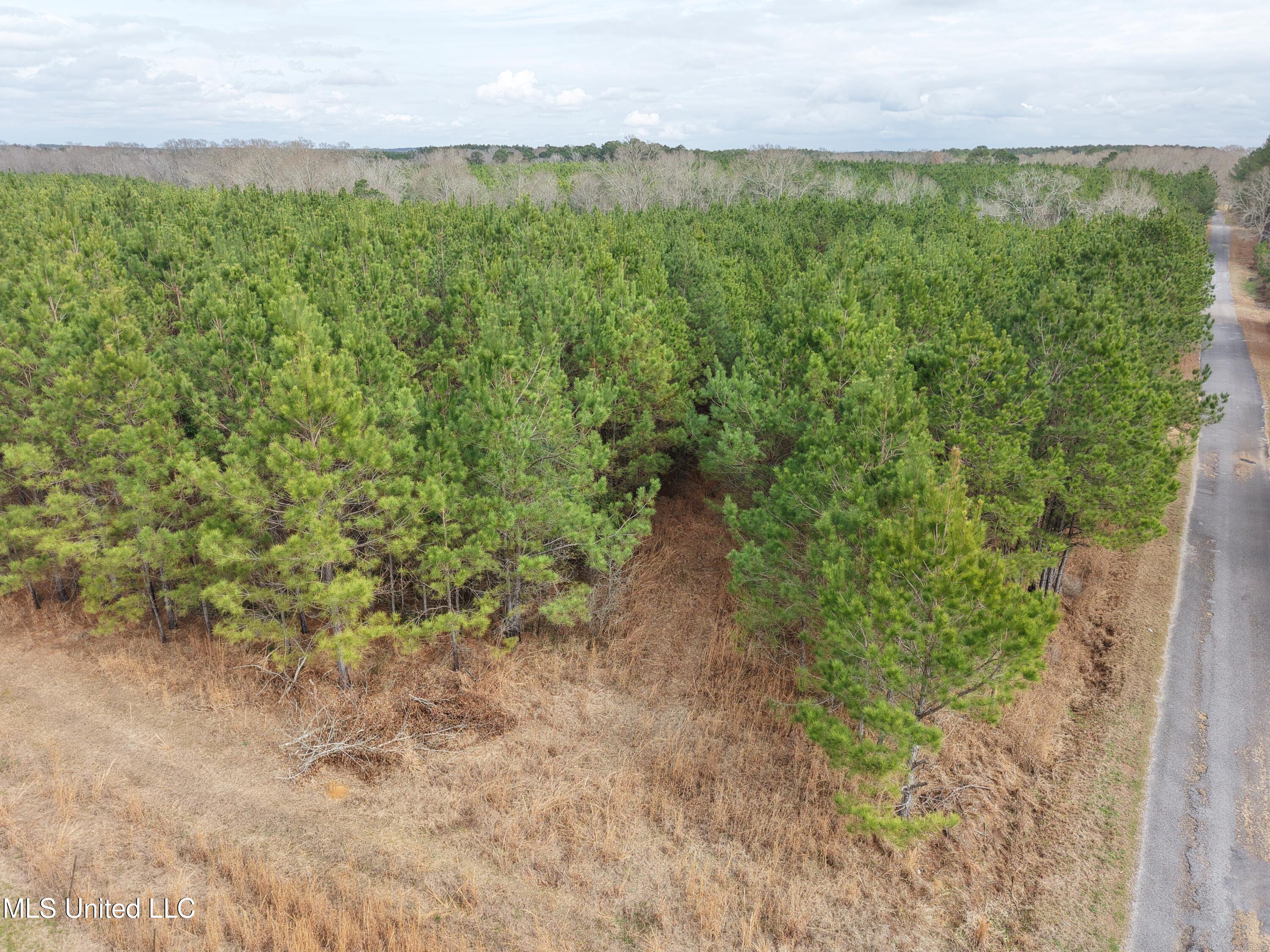Graves Road Carson, MS 39427 - Photo 2 of 9 dji_fly_20260218_121042_0101_17714518086