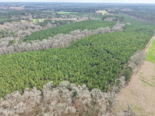 $202,250 | Graves Road, Carson, MS 39427