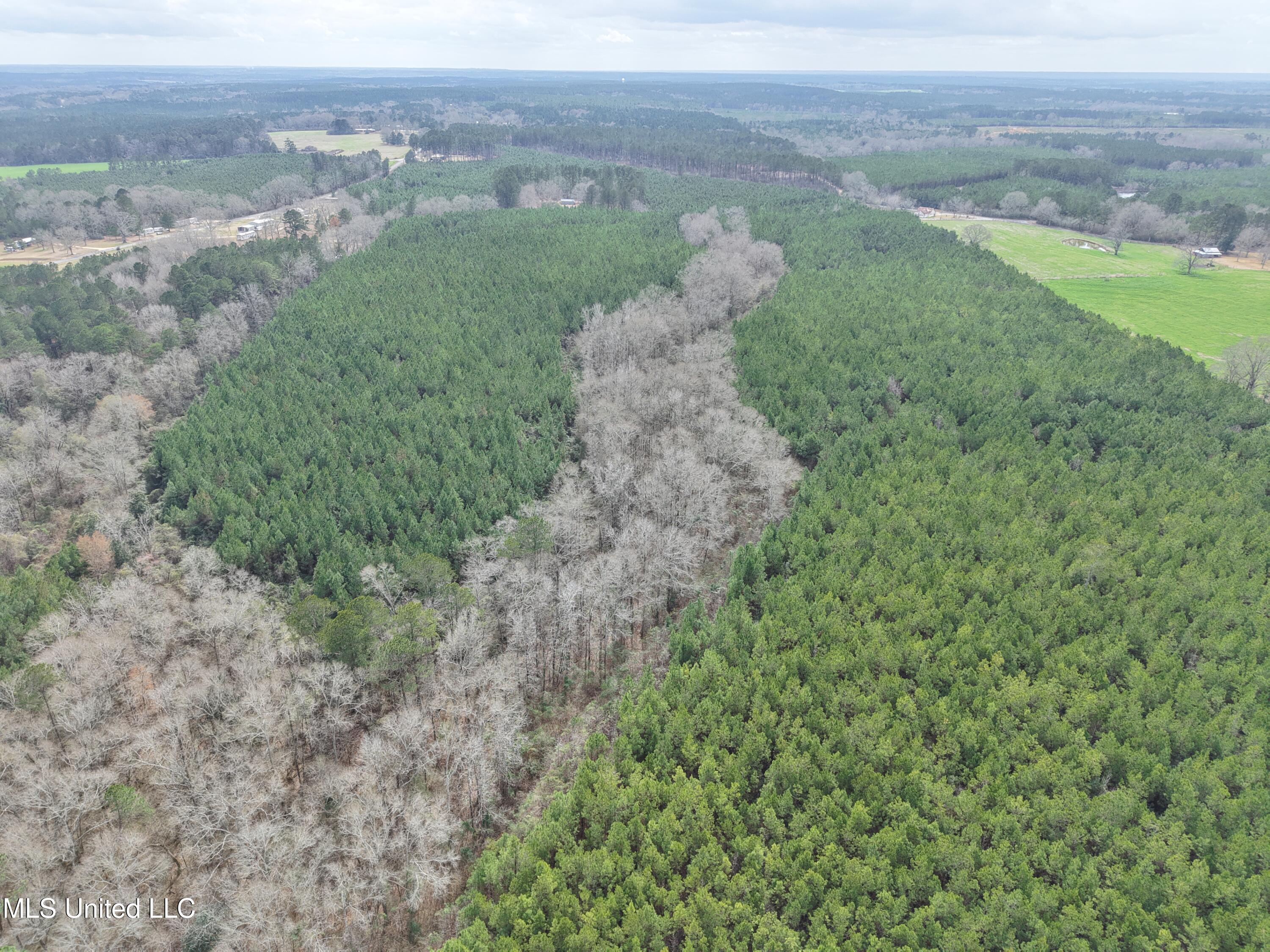 Graves Road Carson, MS 39427 - Photo 4 of 9 dji_fly_20260218_121950_0105_17714518002