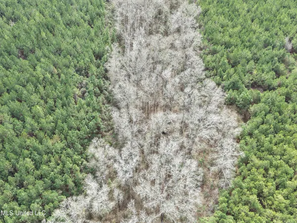 $202,250 | Graves Road, Carson, MS 39427