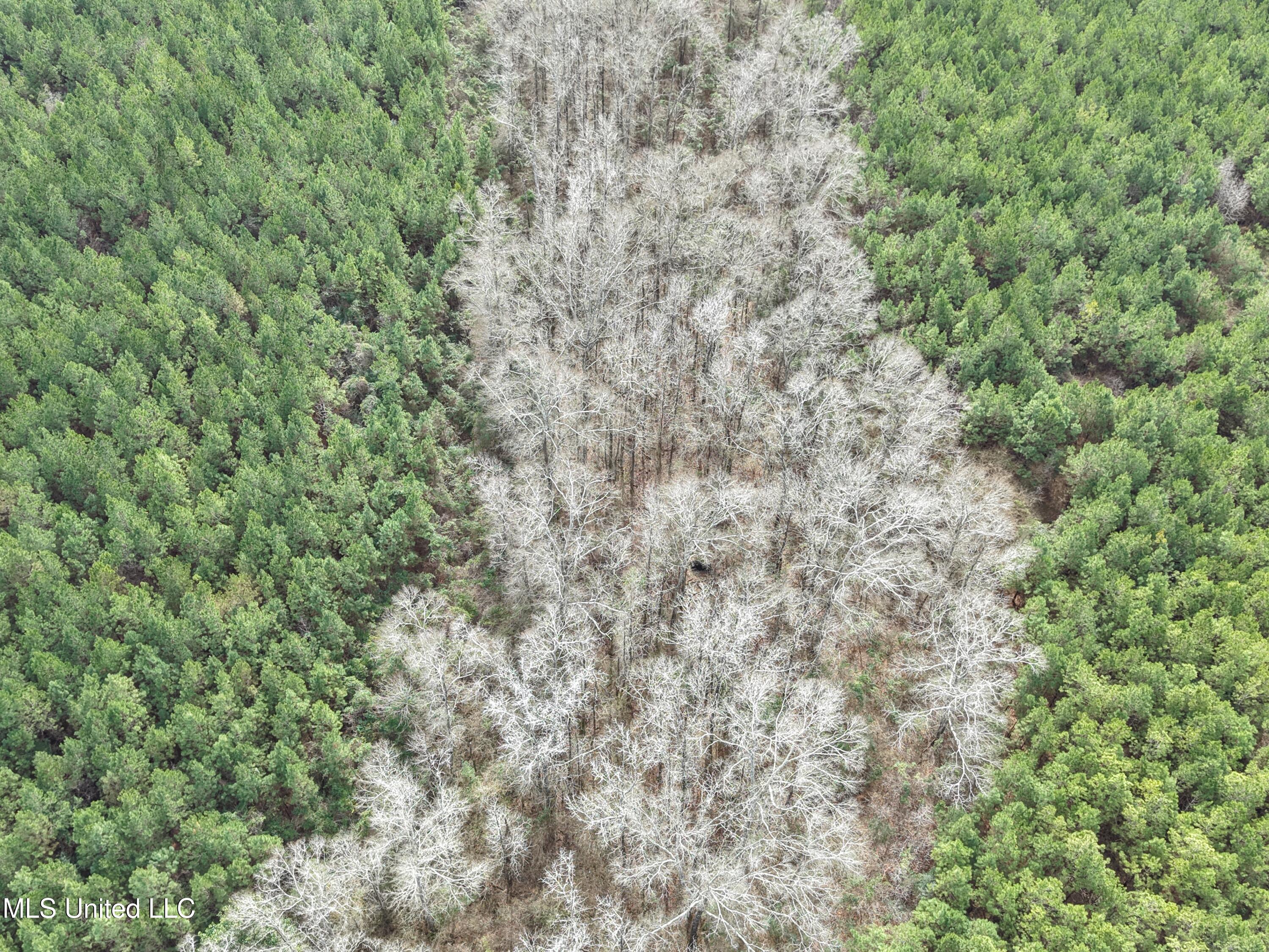 Graves Road Carson, MS 39427 - Photo 5 of 9 dji_fly_20260218_122006_0106_17714517983