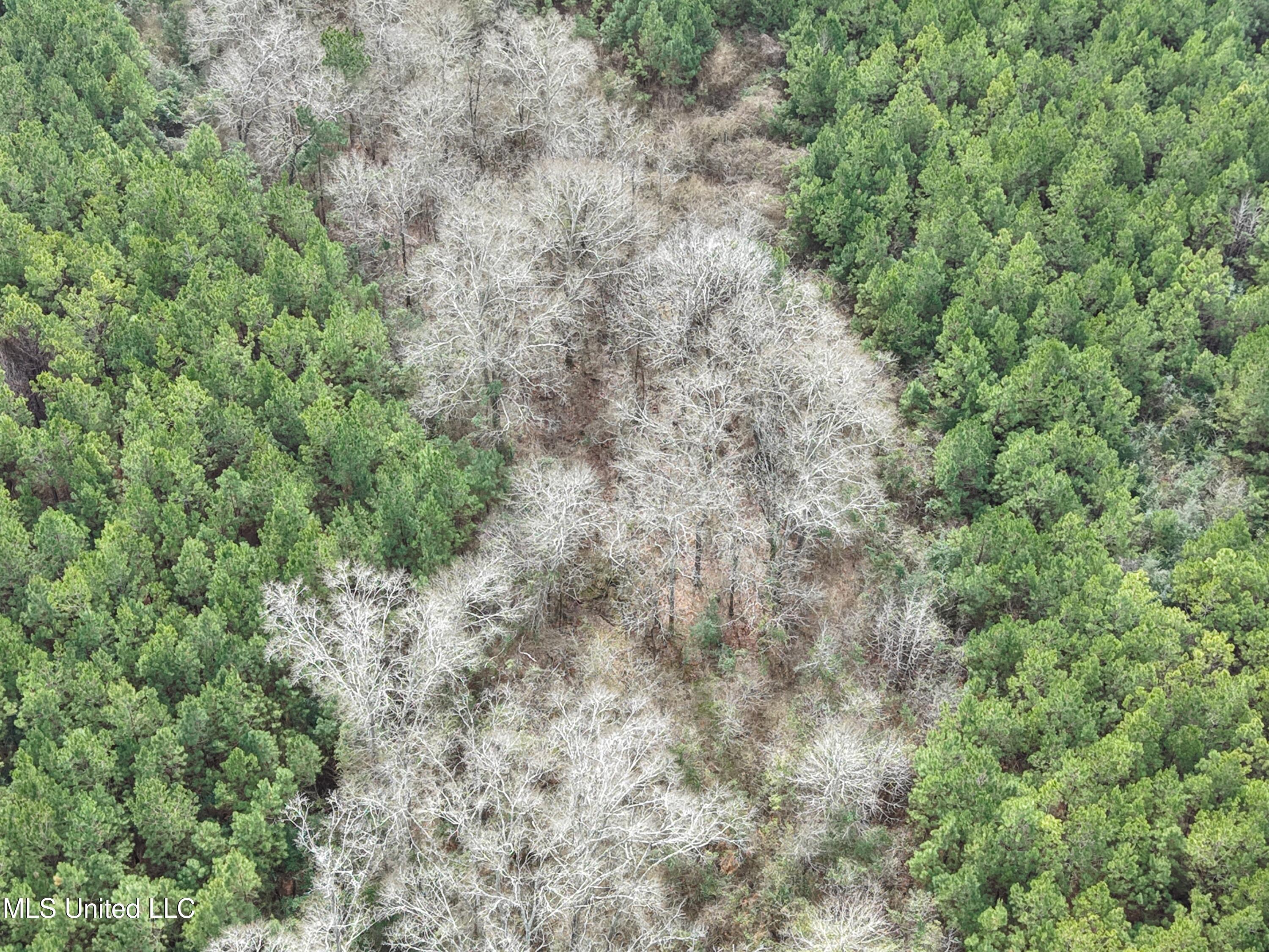 Graves Road Carson, MS 39427 - Photo 6 of 9 dji_fly_20260218_122042_0107_17714517966