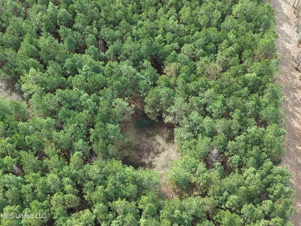 $202,250 | Graves Road, Carson, MS 39427