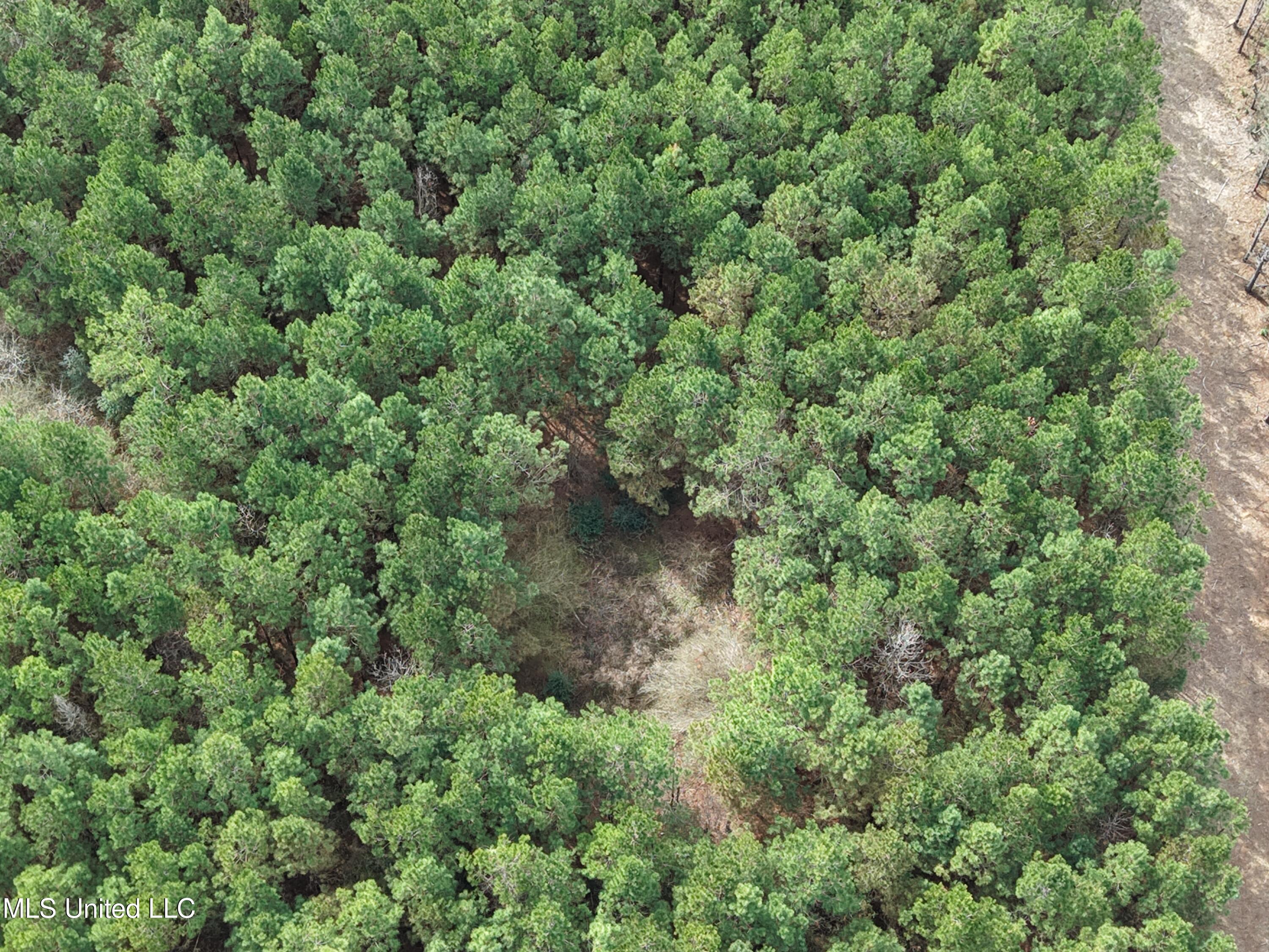 Graves Road Carson, MS 39427 - Photo 7 of 9 dji_fly_20260218_122238_0108_17714517949