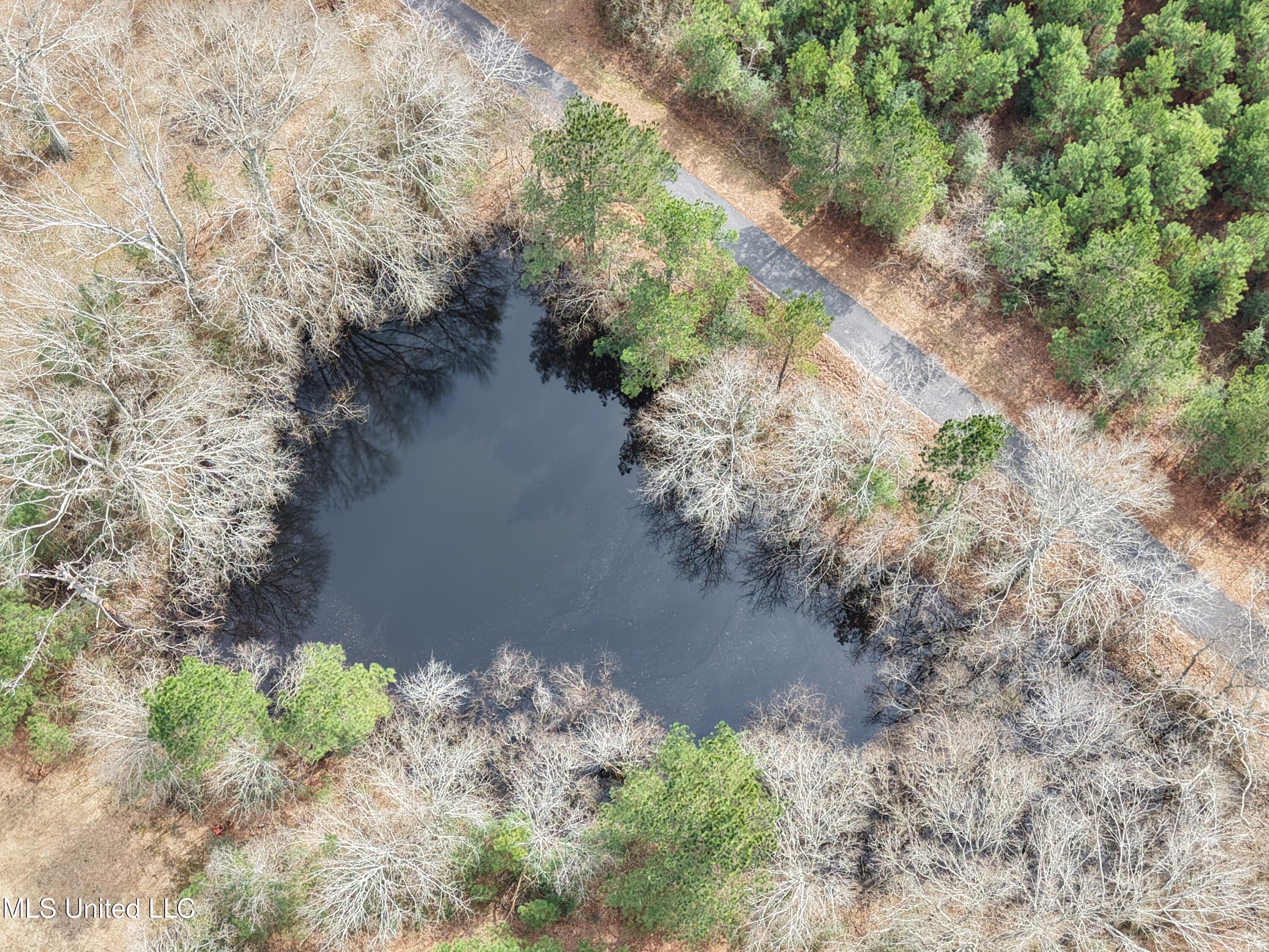 Graves Road Carson, MS 39427 - Photo 8 of 9 dji_fly_20260218_122302_0109_17714517930