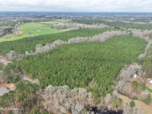 $202,250 | Graves Road, Carson, MS 39427