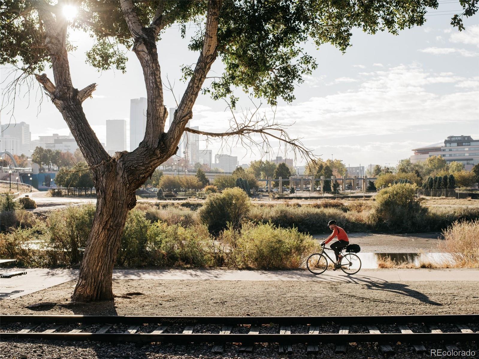 207 Cook Street Denver, CO 80206 - Photo 36 of 49