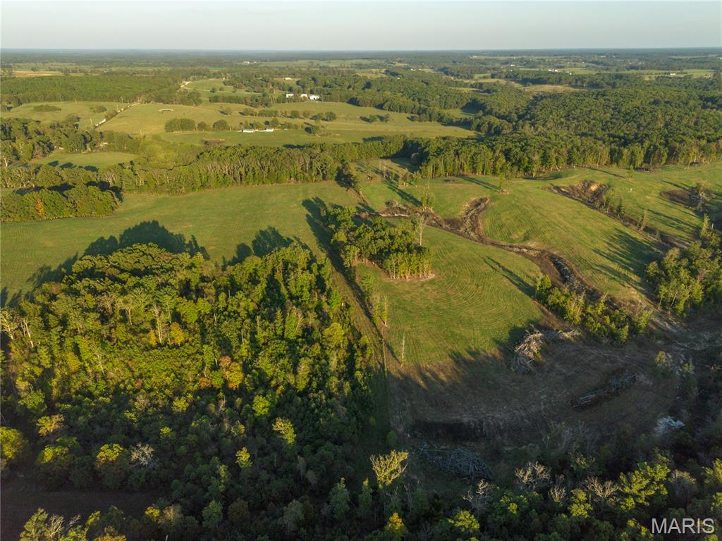 18348 Dixon Road Licking, MO 65542 - Photo 19 of 43