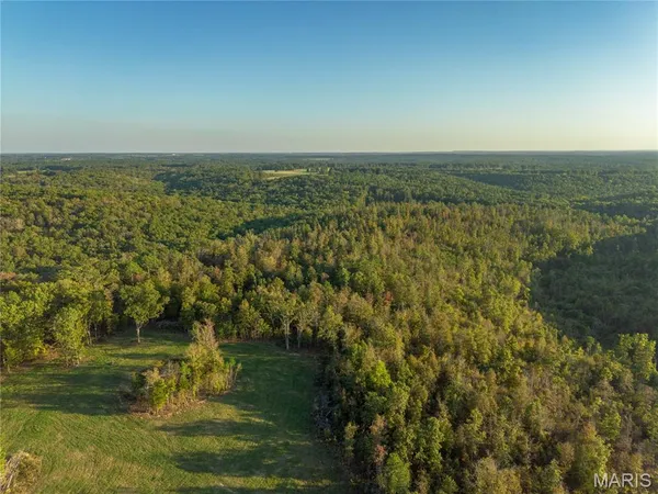$559,500 | 18348 Dixon Road, Licking, MO 65542