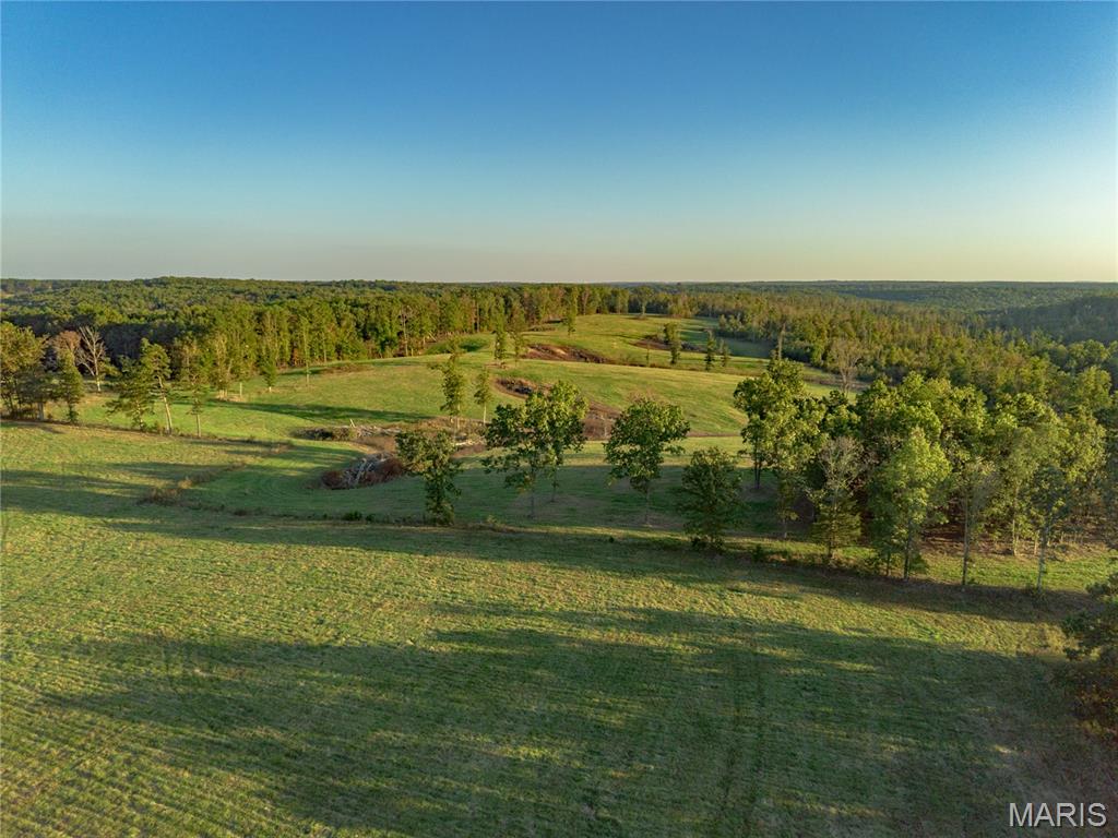 18348 Dixon Road Licking, MO 65542 - Photo 34 of 43