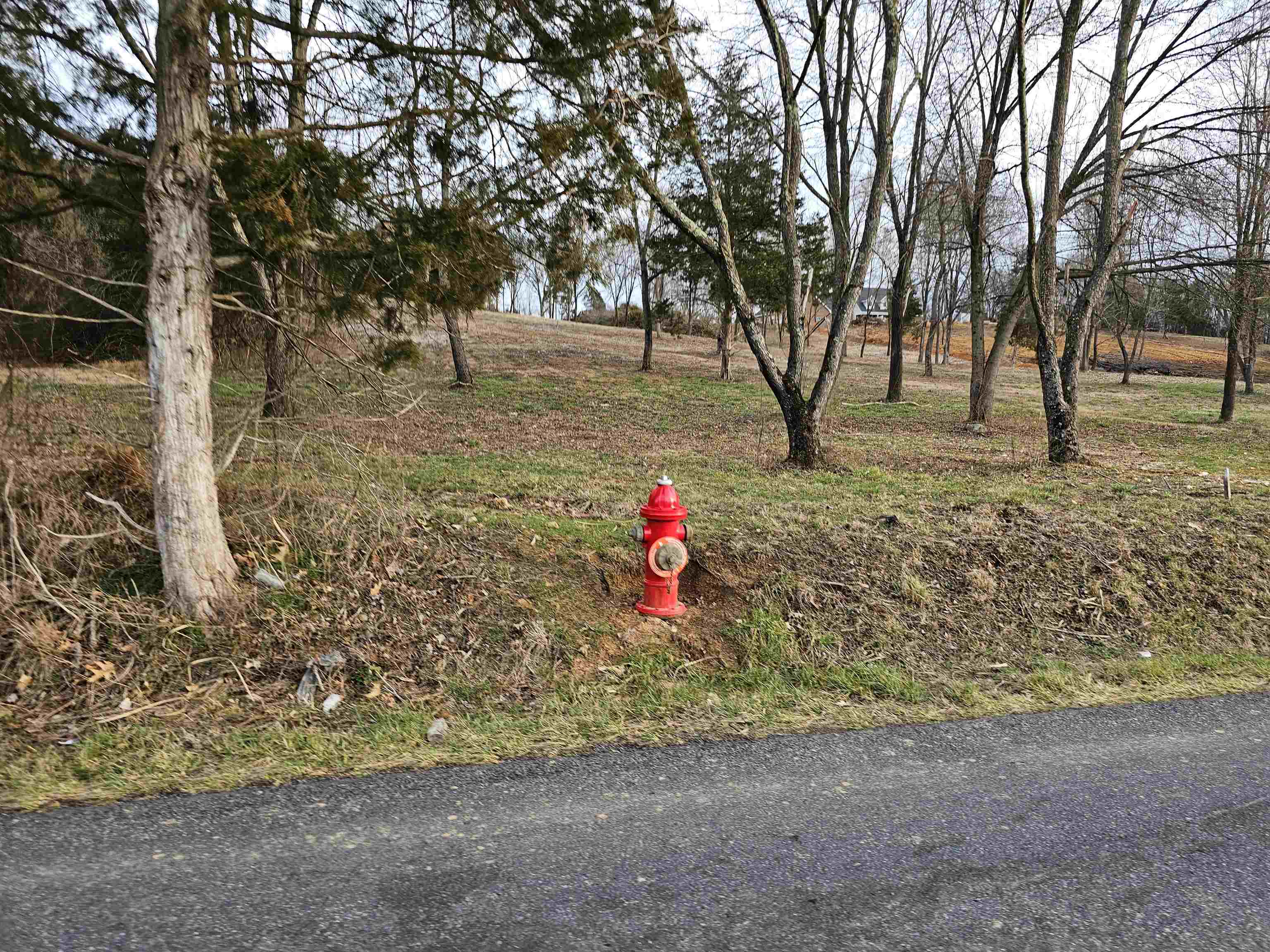 9-crown Ridge Berry Farm Road Verona, VA 24482 - Photo 14 of 27 Gallery Image 14
