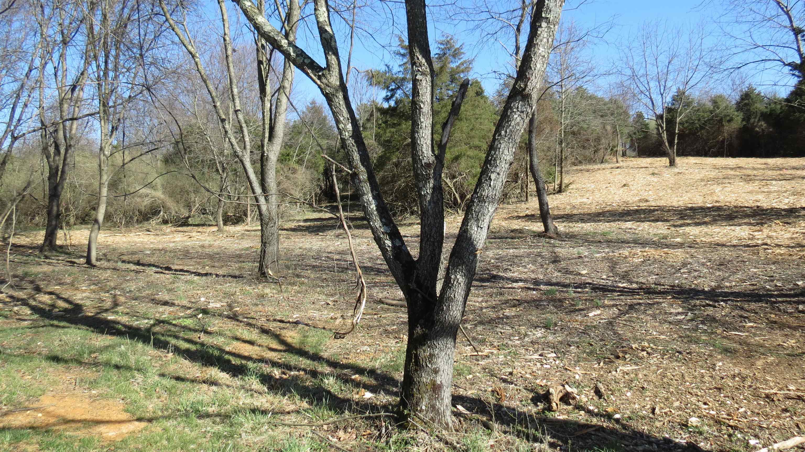 9-crown Ridge Berry Farm Road Verona, VA 24482 - Photo 17 of 27 Gallery Image 17