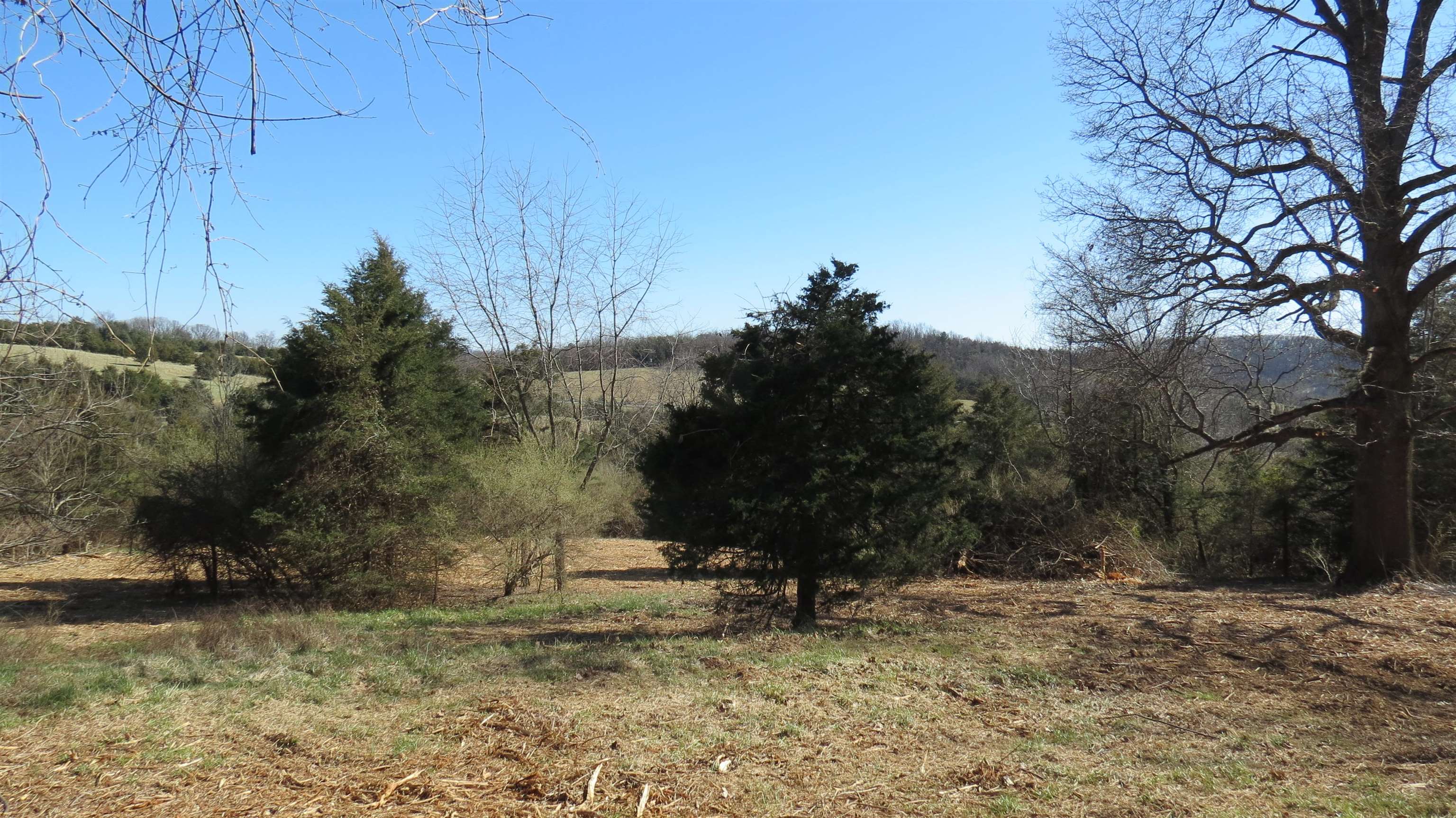 9-crown Ridge Berry Farm Road Verona, VA 24482 - Photo 5 of 27 Gallery Image 5