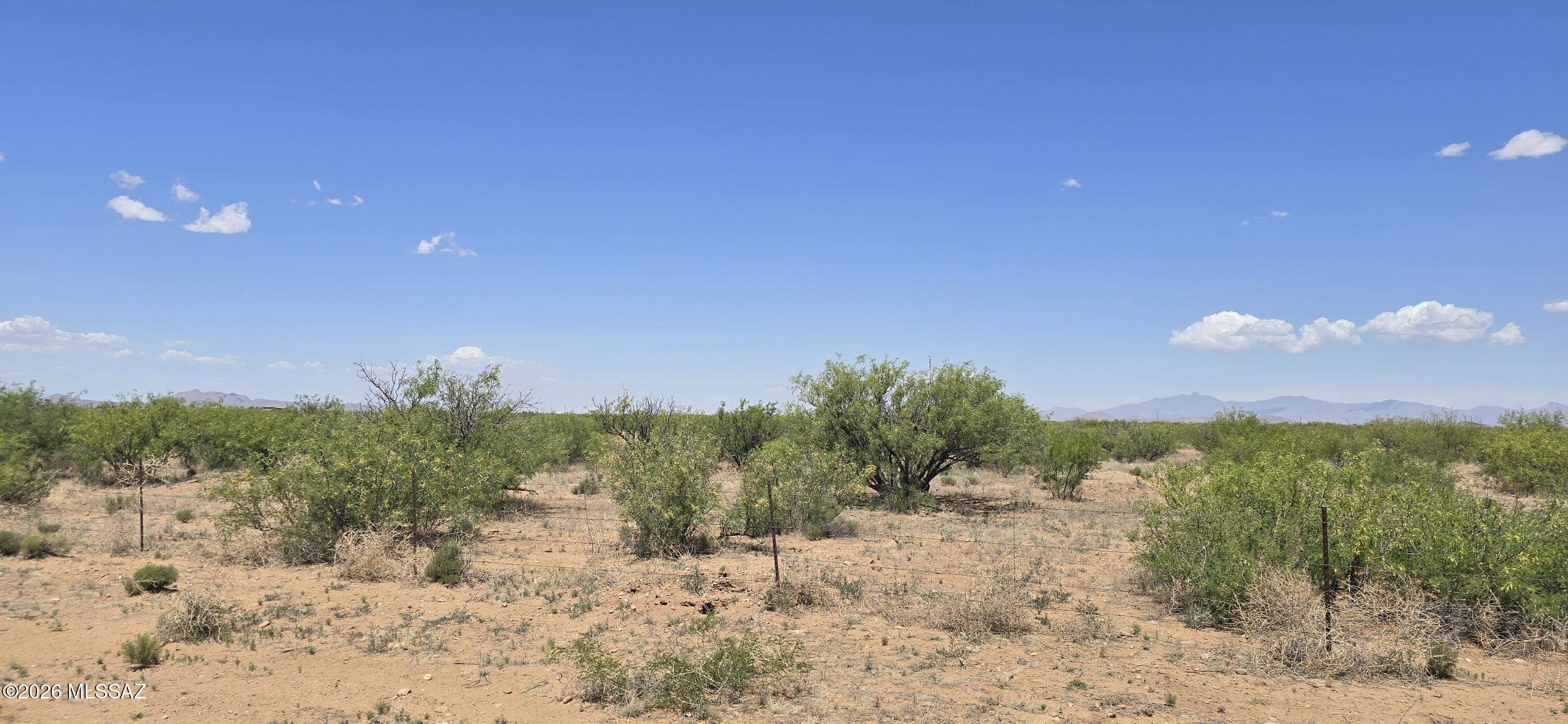 Tbd 8-ac East Aschenbach Road, Unit 319D Pearce, AZ 85625 - Photo 2 of 8 a view of a dry yard with trees in the background