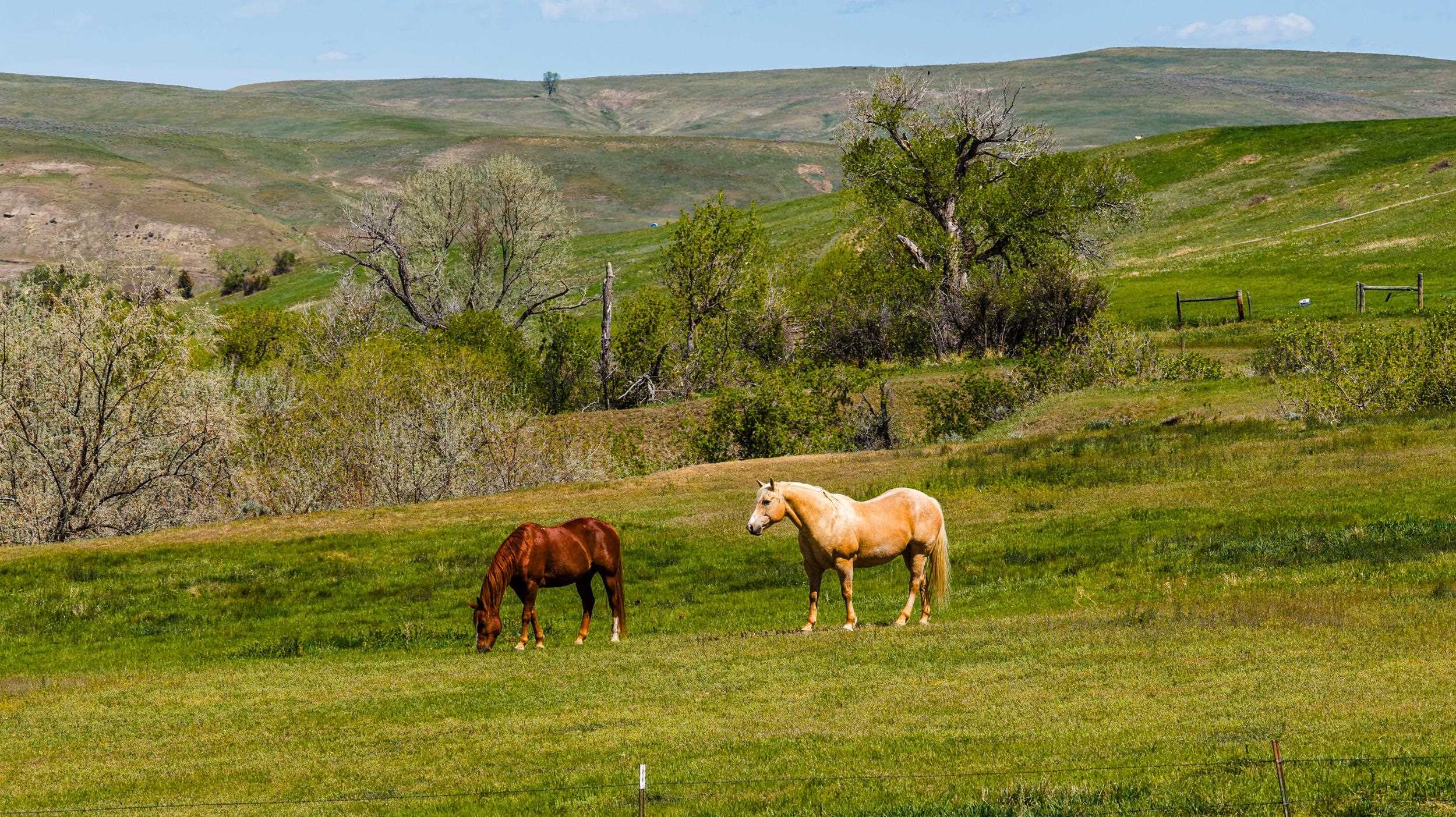 Tbd Beaver Creek Road Sheridan, WY 82801 - Photo 33 of 34