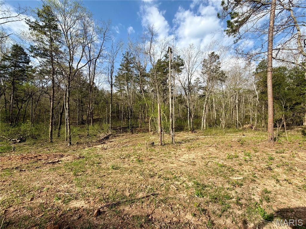 1 Furnace Creek Road Potosi, MO 63664 - Photo 11 of 17