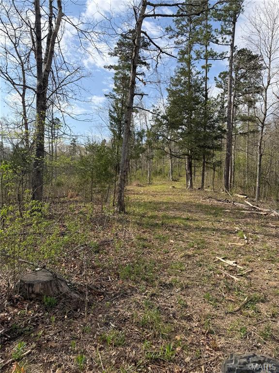 1 Furnace Creek Road Potosi, MO 63664 - Photo 12 of 17