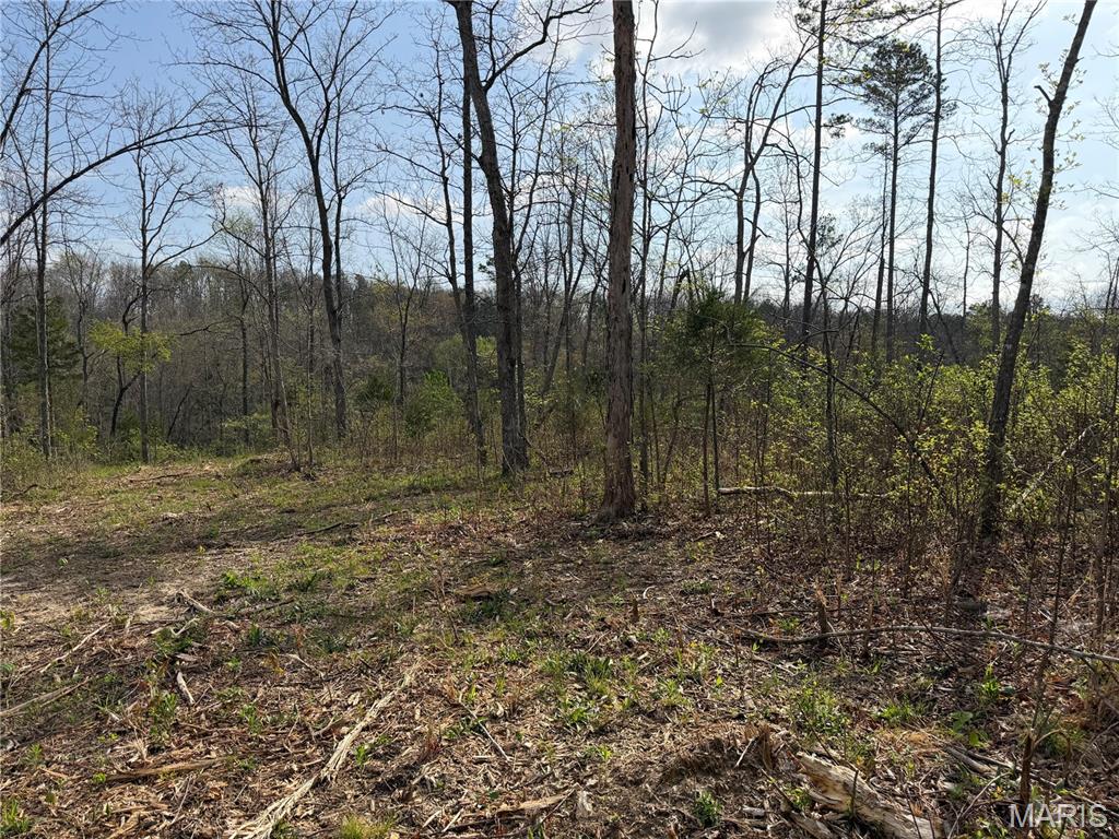 1 Furnace Creek Road Potosi, MO 63664 - Photo 13 of 17