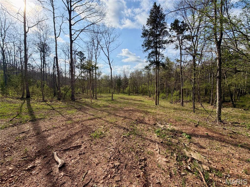 1 Furnace Creek Road Potosi, MO 63664 - Photo 4 of 17