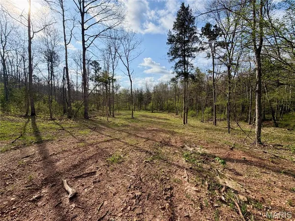 $119,900 | 1 Furnace Creek Road, Potosi, MO 63664