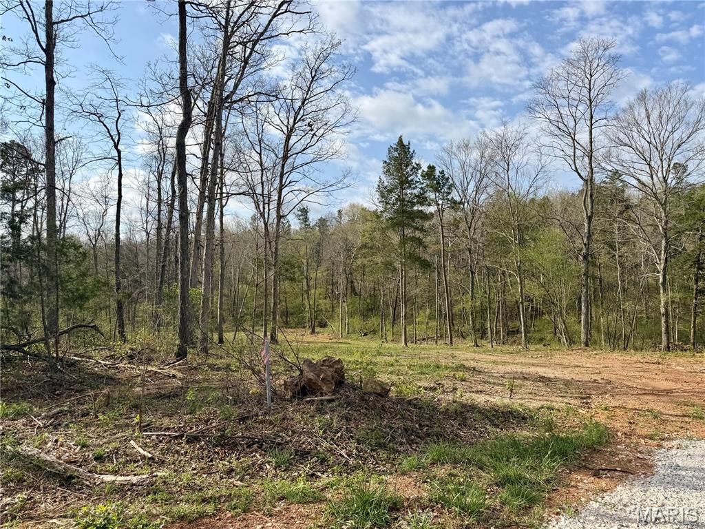 1 Furnace Creek Road Potosi, MO 63664 - Photo 6 of 17