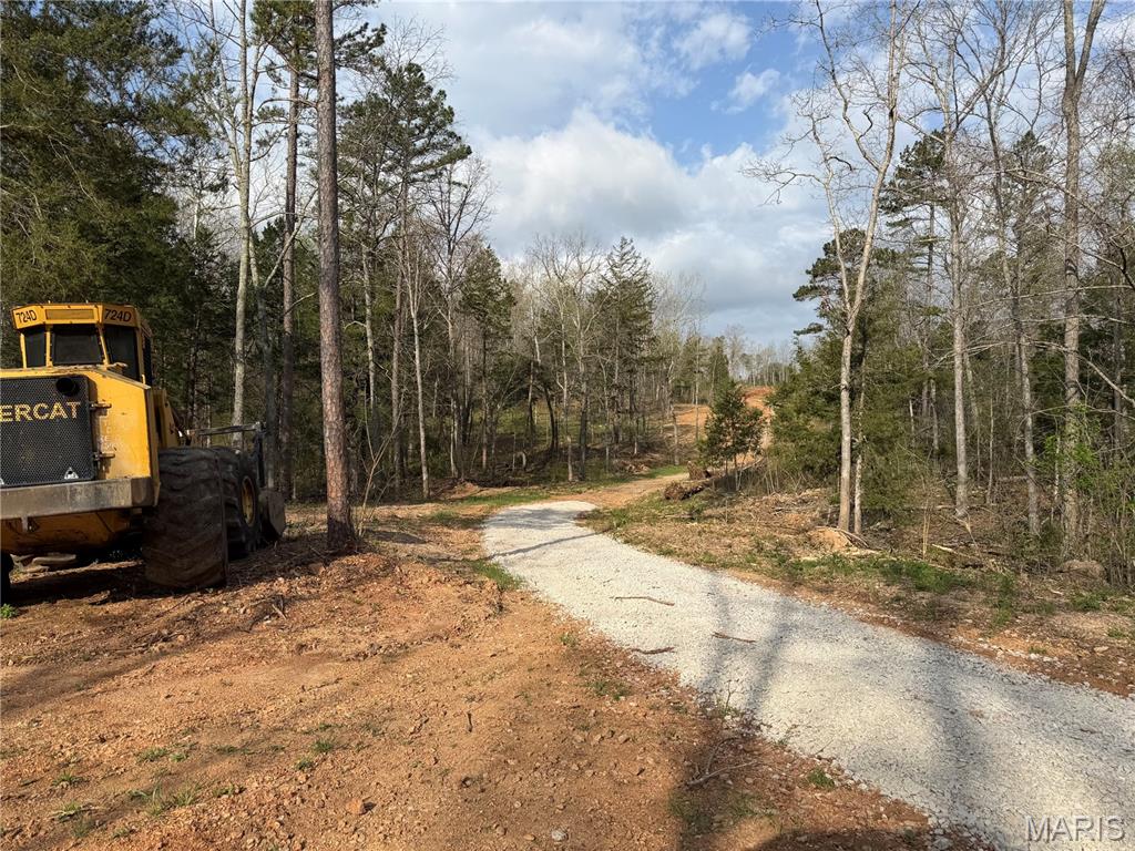 1 Furnace Creek Road Potosi, MO 63664 - Photo 10 of 17
