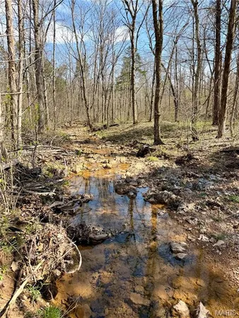 $119,900 | 1 Furnace Creek Road, Potosi, MO 63664