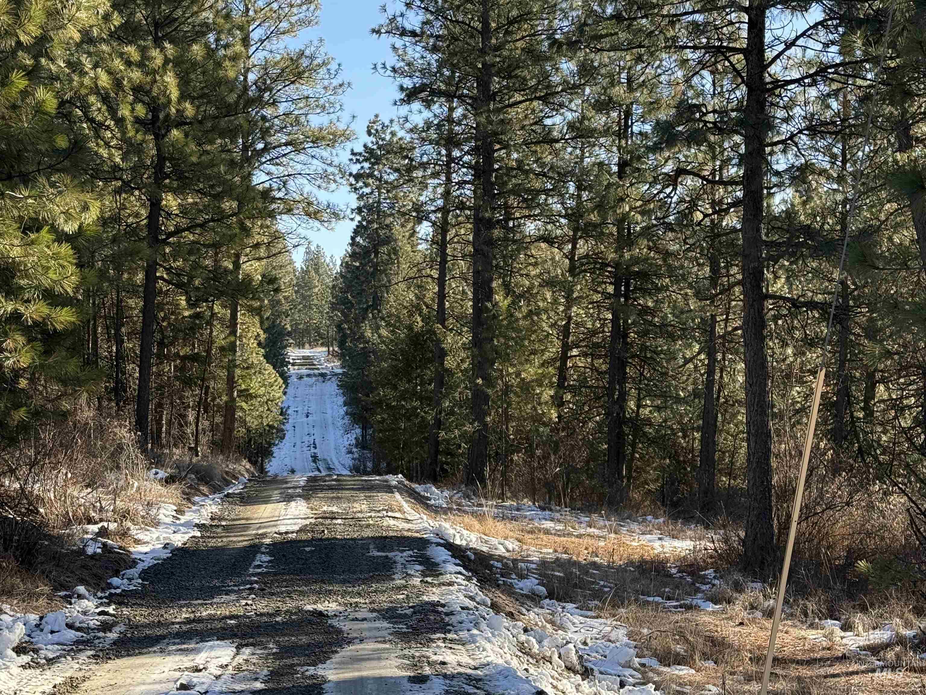 Tbd Liberty Lane Viola, ID 83872 - Photo 12 of 50