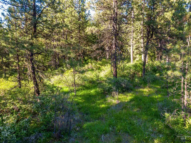 $349,000 | Tbd Liberty Lane, Viola, ID 83872