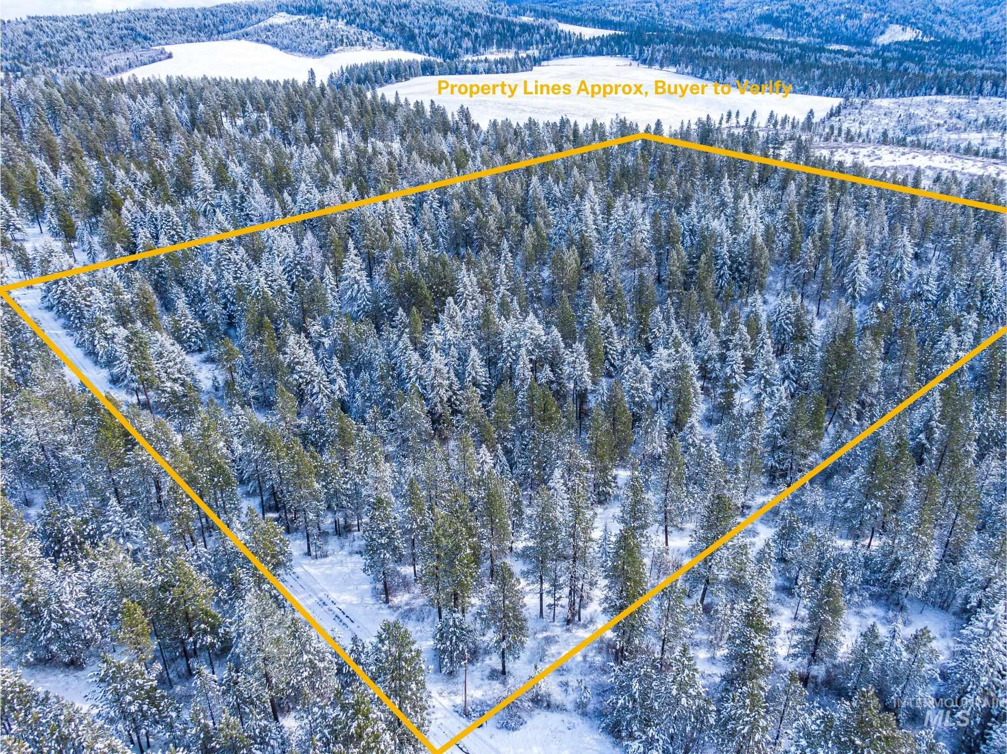 Tbd Liberty Lane Viola, ID 83872 - Photo 14 of 50