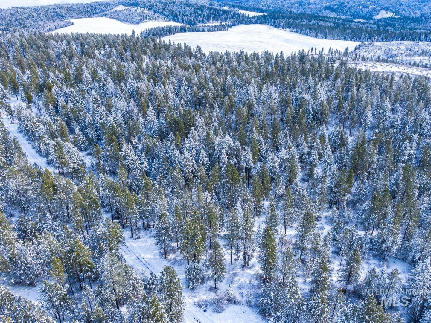 Tbd Liberty Lane Viola, ID 83872 - Photo 18 of 50
