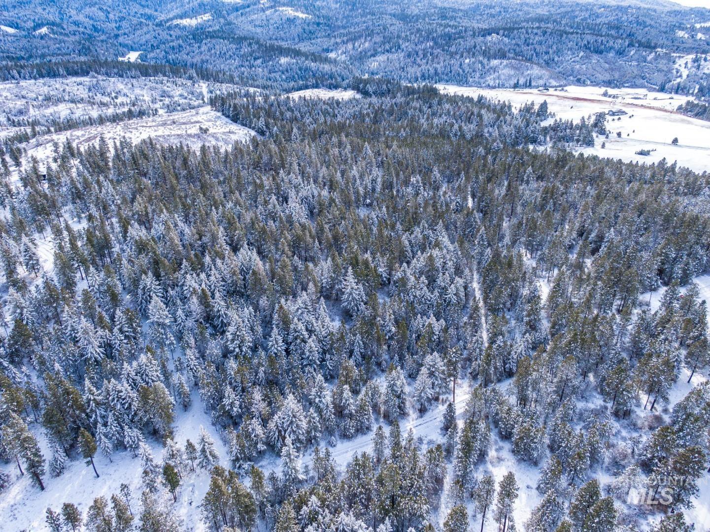 Tbd Liberty Lane Viola, ID 83872 - Photo 20 of 50