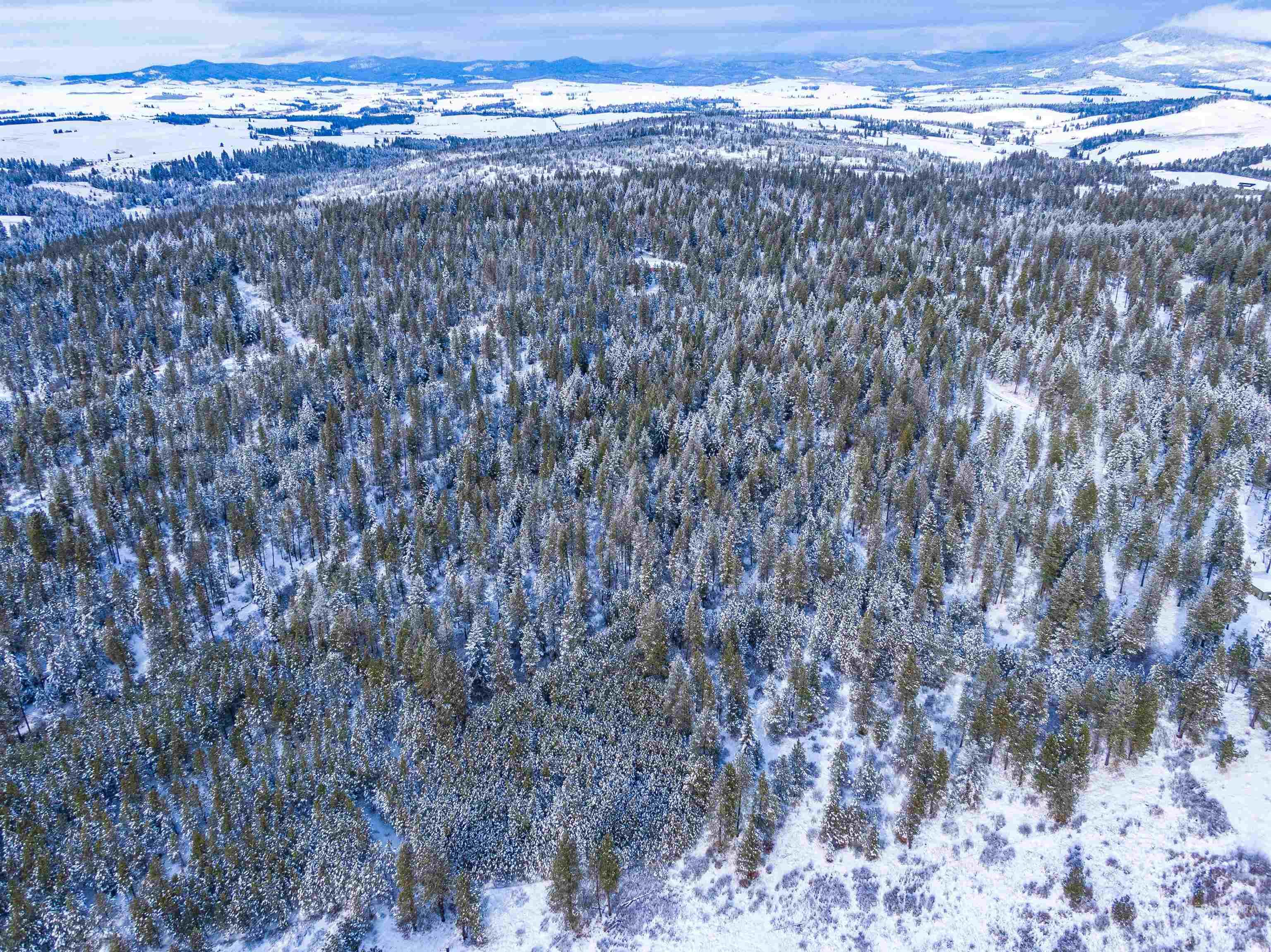 Tbd Liberty Lane Viola, ID 83872 - Photo 24 of 50