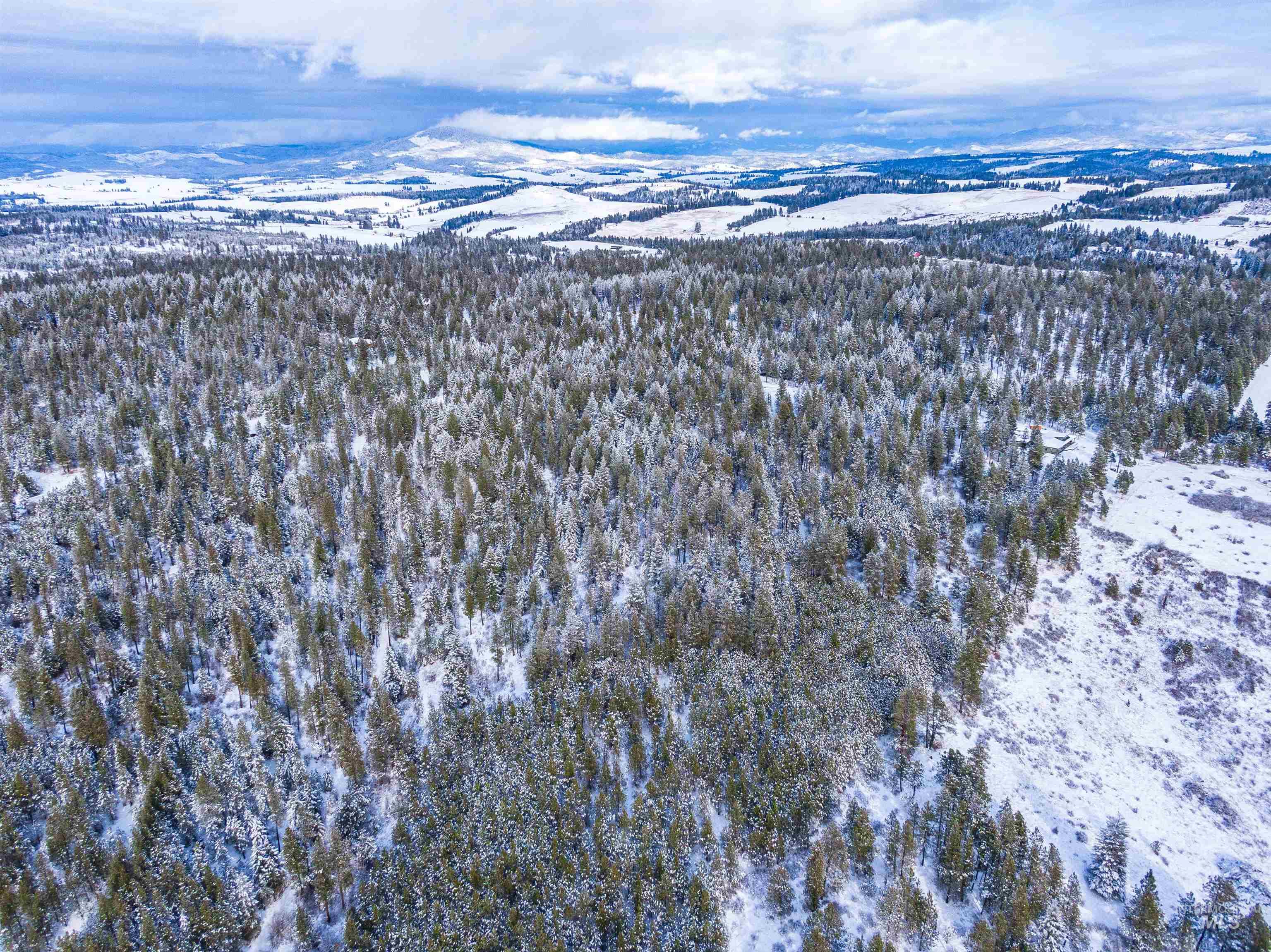 Tbd Liberty Lane Viola, ID 83872 - Photo 25 of 50