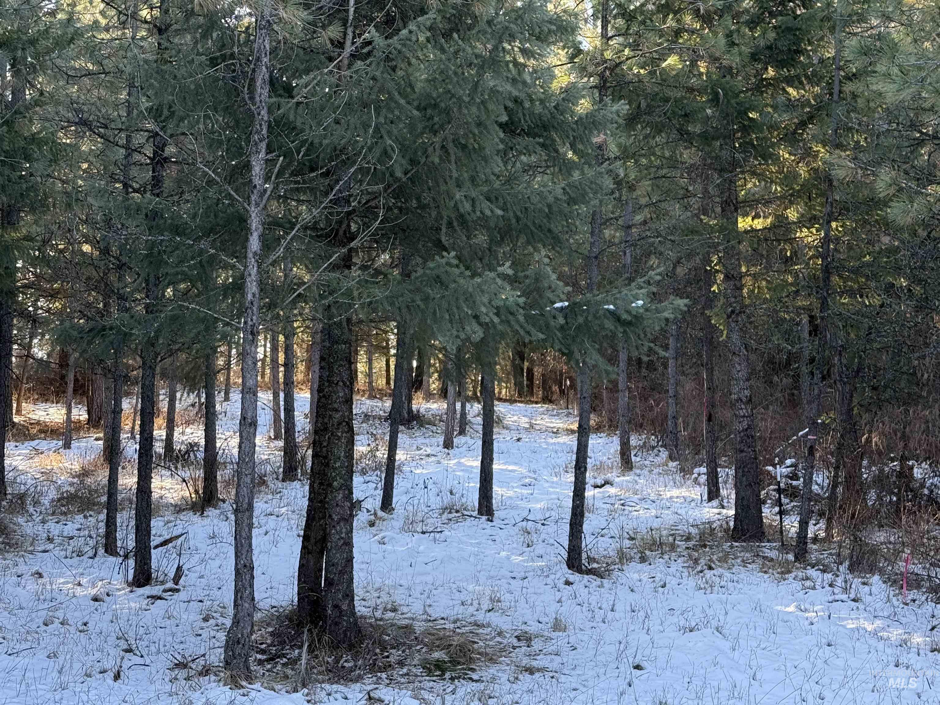 Tbd Liberty Lane Viola, ID 83872 - Photo 31 of 50